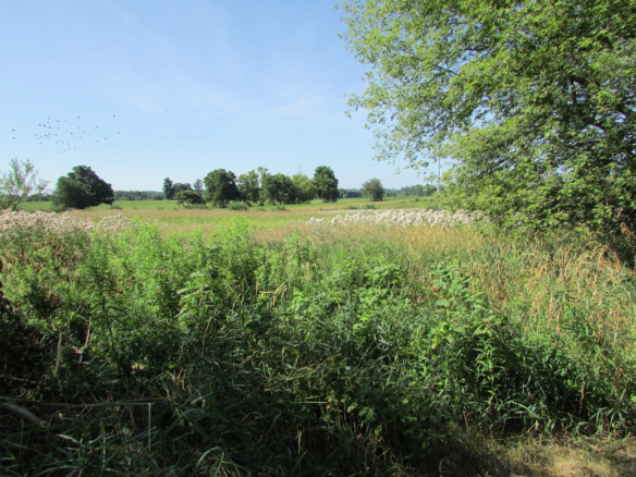 MLS 259744 — 3185 W. Tomlinson Rd., Mason