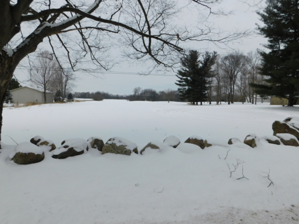 MLS 252916 — V/L Harper Rd., Holt