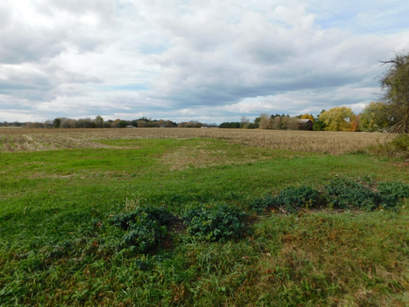 MLS 260876 — Lot D College Rd., Mason