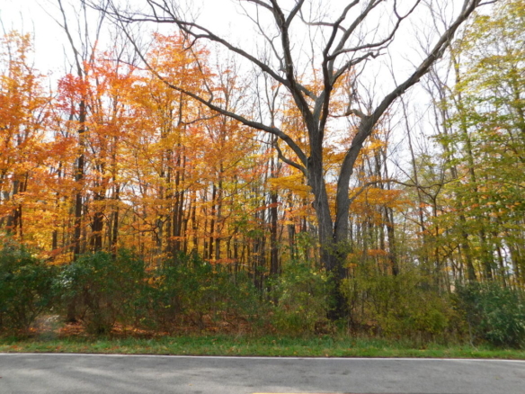 MLS 260880 — Lot E College Rd., Mason