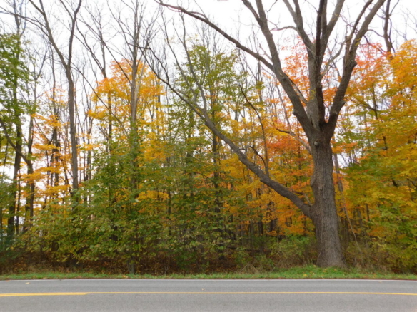 MLS 256881 — Lot F College Rd., Mason