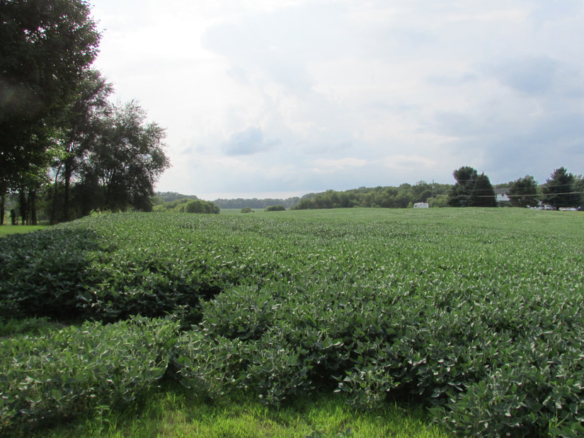 MLS 258661 — V/L Ives Rd., Mason