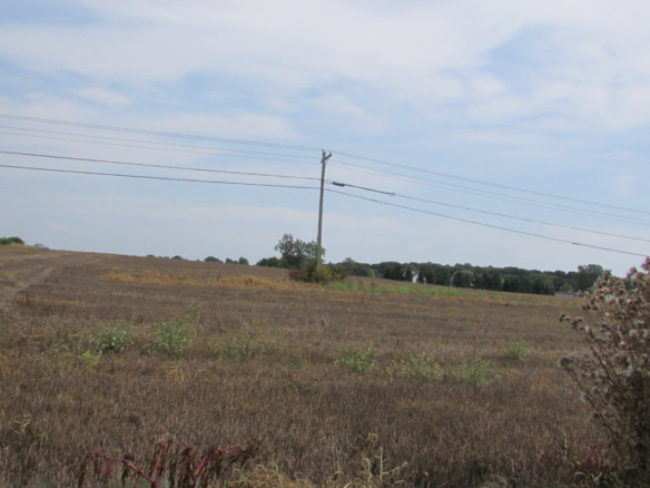 MLS 259388 — V/L Perkey Rd., Charlotte