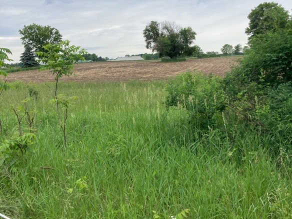 MLS 265839 — V/L Ives Rd., Mason — $109,000