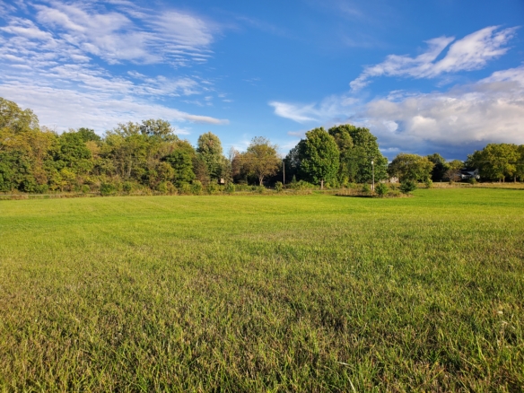 MLS 276882 — V/L Onondaga Rd., Mason –Price Reduced Now $79,900